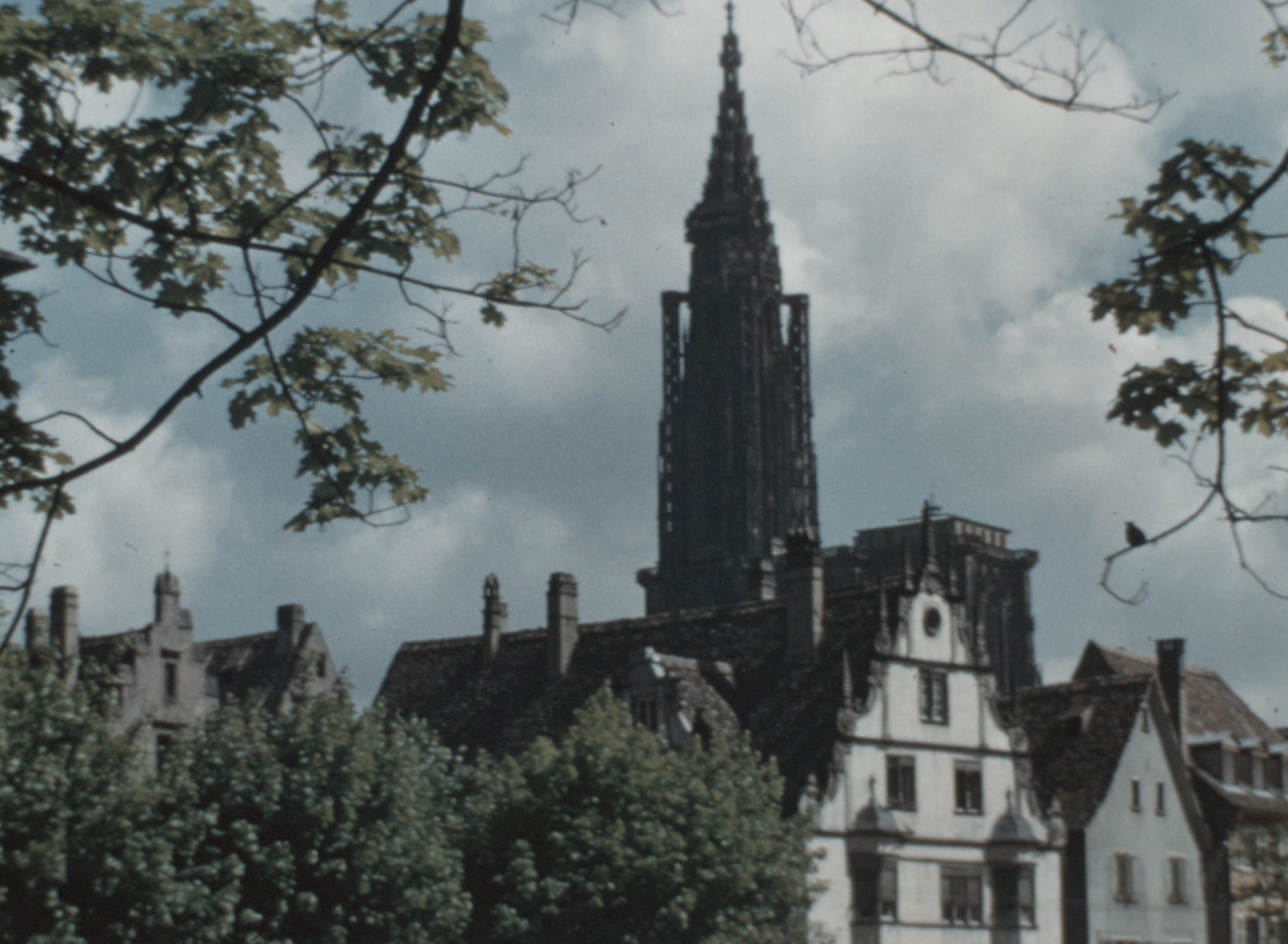 Ma ville imaginaire - MIRA ateliers pour enfants à Strasbourg sur le cinéma et les archives