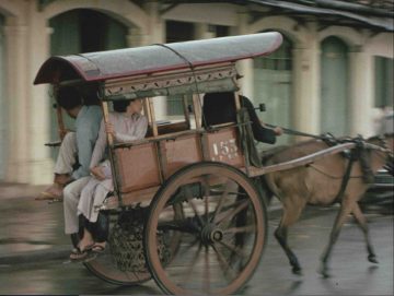 Invitation au voyage : Les Alsacien·ne·s à la découverte du monde (1930 - 2000)