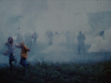Zone à défendre : dans l'intimité des luttes écologistes