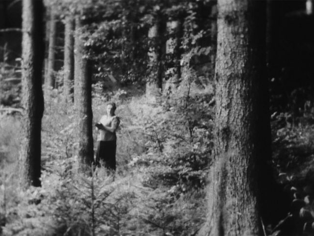 LES RENDEZ-VOUS DE MIRA : À L'ORÉE DU BOIS, IMAGES DE L'HOMME DANS LA NATURE