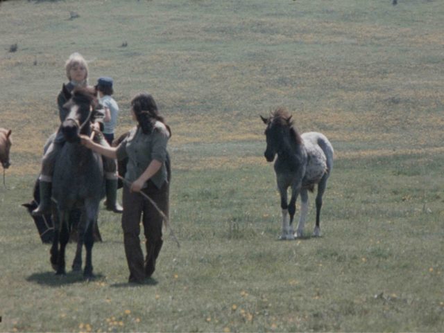 Regard de cinéaste : Jean-Pierre Stoll, l'Indien de l'Illwald