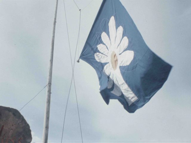 Kolbsheim : mémoires d’une zone à défendre // Collecte d'archives