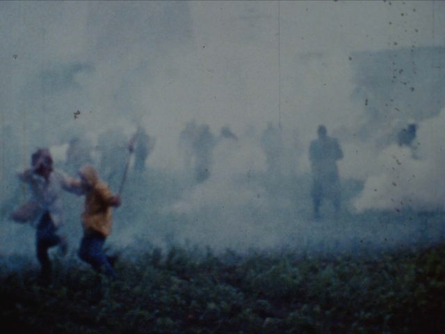 Zone à défendre : dans l'intimité des luttes écologistes