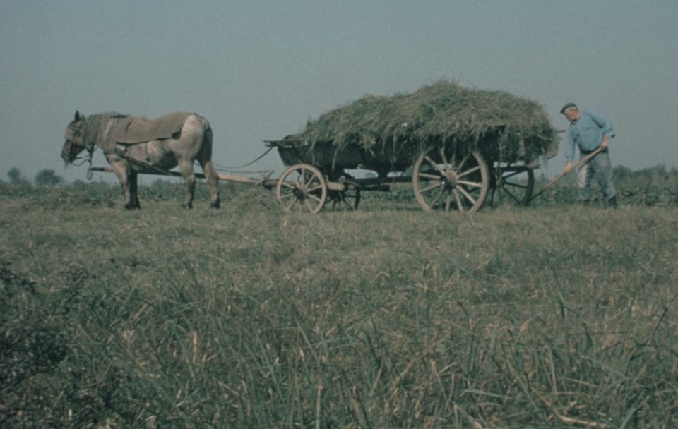 Un été de labeur