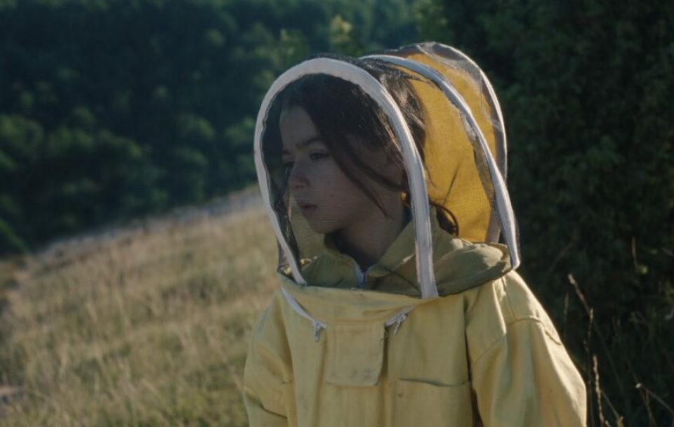 20 000 espèces d'abeilles + avant-programme