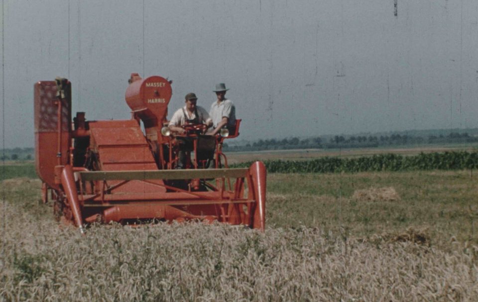 Portrait de cinéaste : Armand Gerber