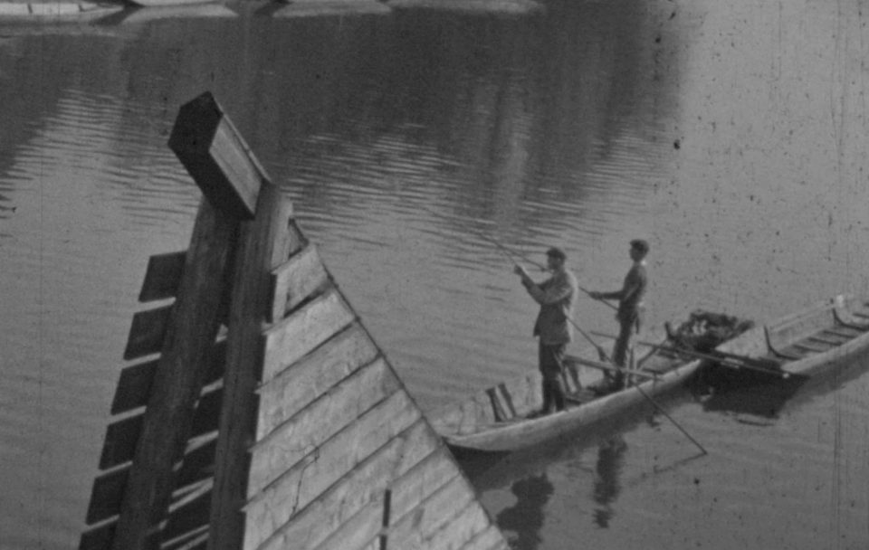 Les écosystèmes du Rhin supérieur