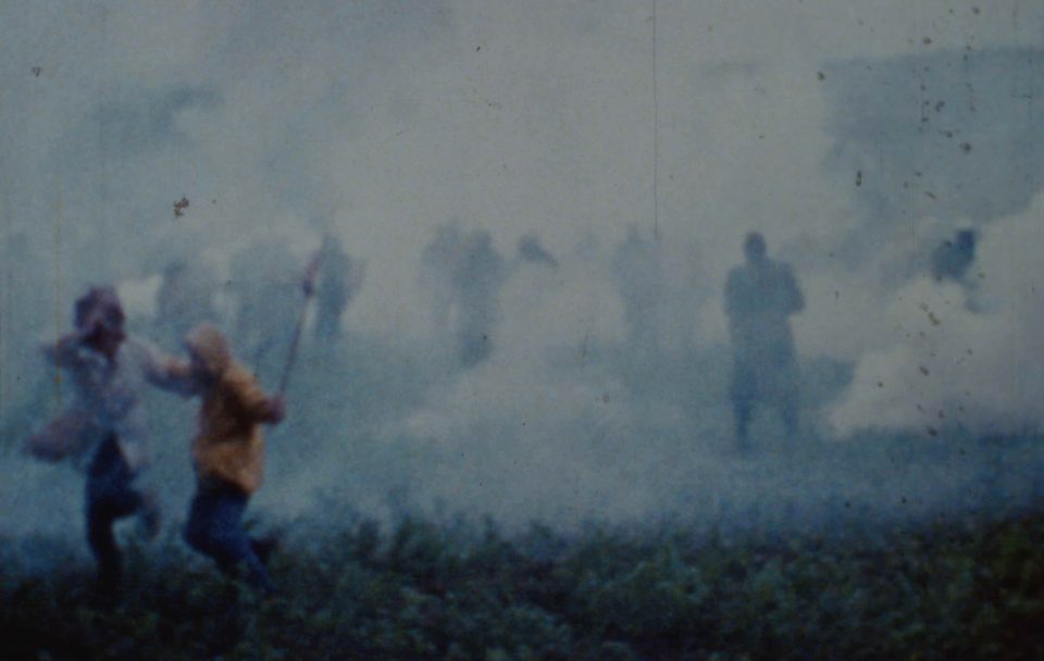 Zone à défendre : dans l'intimité des luttes écologistes