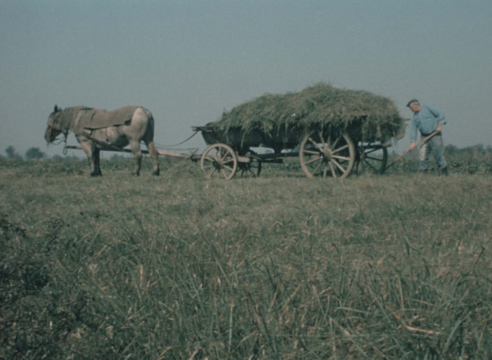 Un été de labeur