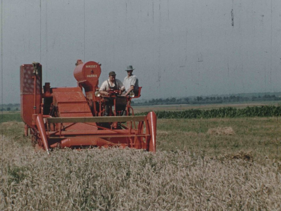 Portrait de cinéaste : Armand Gerber