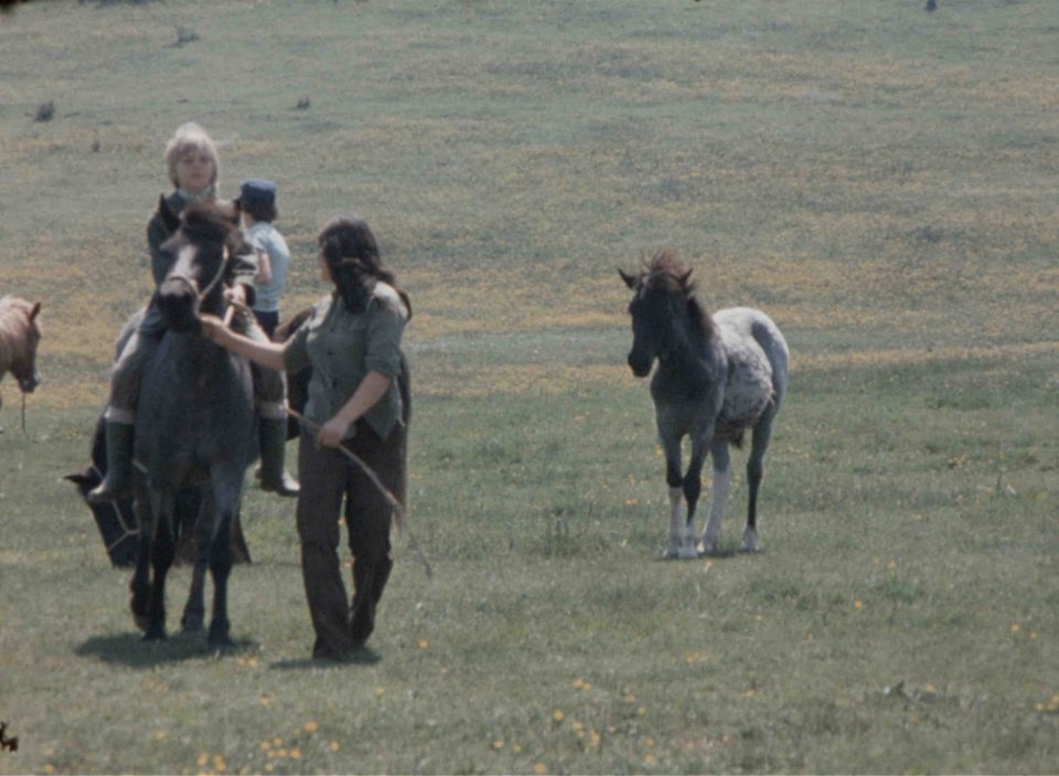 Regard de cinéaste : Jean-Pierre Stoll, l'Indien de l'Illwald