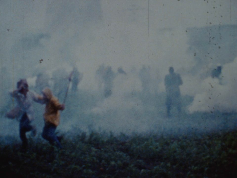 Zone à défendre : dans l'intimité des luttes écologistes