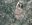 Foret 2.jpg