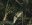 Foret 3.jpg